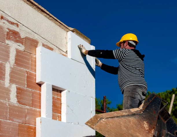 Best Insulation Maintenance and Repair in Grant Valkaria, FL